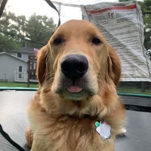 Meet your Posher, Anna